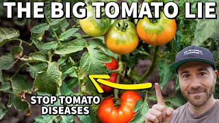 The BIG TOMATO LIE Why Tomato Plants REALLY Get Disease amp Pests And How To Stop It [upl. by Deborath273]