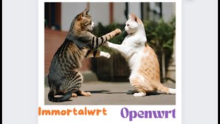 Openwrt vs Immortalwrt Openwrt fork firmware Bangla Video [upl. by Yhtomot]