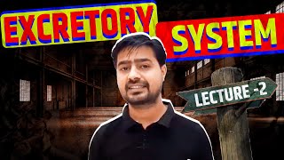 2EXCRETORY SYSTEM  AMMONOTELISM  UREOTELISM URICOTELISM  ORNITHINE CYCLE  NEET  CLASS  11 [upl. by Guerra]