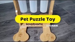 Loobani Dog Puzzle Toy V10 Installation Guide [upl. by Namyl401]