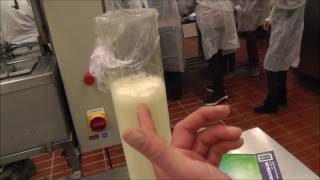 homogenization of milk [upl. by Levan417]