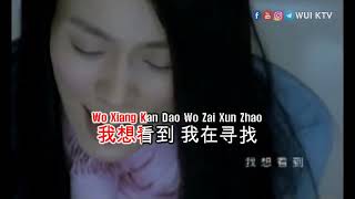 Fan Wei Qi 范玮琪 Christine Fan  Dao Bu Liao 到不了 KTV KARAOKE NO VOCAL PINYIN [upl. by Anilys453]