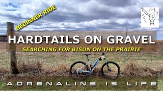 Gravel Biking on Hardtail Mountain Bikes with Beginners [upl. by Ynoble]