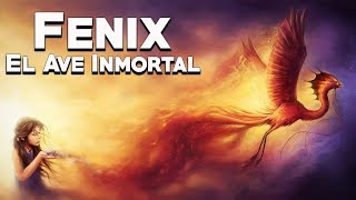 Fenix El ave Inmortal  Bestiario Mitológico  Mira la Historia [upl. by Ahgem]