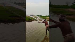 Net fish catching videoytshorts nature travel trendingshorts shorts [upl. by Trinia112]