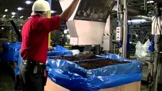 Video Raisin Processing and Packaging  How It Works [upl. by Sherfield408]