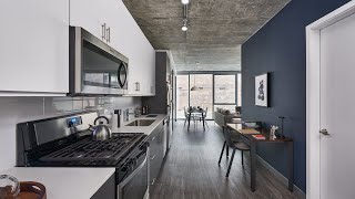 Parkline Chicago Apartments Unit 505 [upl. by Gowrie]