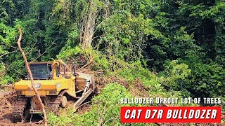 The Best Skill of Dozer Operator Uproot a Lot of Huge Trees Easily Using CAT D7R Bulldozer [upl. by Rogozen]