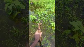 😲Handmade Crossbow Fishing Method Part12🌻 catfish naturalfishing crossbow fishing [upl. by Cavanaugh]