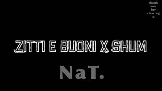 Zitti E Buoni x Shum audio edit [upl. by Sirrep]