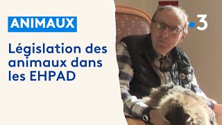 Législation des animaux de compagnie dans les EHPAD [upl. by Hniht]