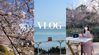 韓國Vlog去釜山賞櫻花🌸膠囊火車🚃釜山打卡景點上集 Cherry Blossom in Busan🌸Sky Capsule Train🚃Busan IG spots Part 1 [upl. by Tessil]