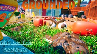 Grounded 10 I Own This Sandbox Now [upl. by Radburn786]