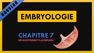 Embryologie  Chapitre 7  Développement placentaire [upl. by Eeleimaj]