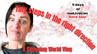 A Slimming World Vlog  Let’s get motivated day 3 slimmingworldmotivation [upl. by Lyret]