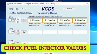 How to check fuel injector values with VCDS VAGCOM for VW Audi Seat Skoda [upl. by Akinaj511]