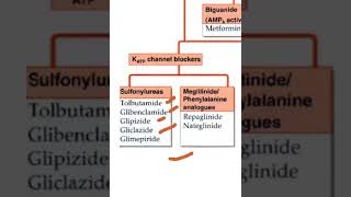 Pharmacology Sulfonylurea examples viva [upl. by Amles]