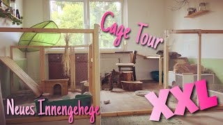 Neues XXL Innengehege für Kaninchen  Cage Tour [upl. by Si]