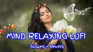 💕Mind Relaxing Love Songs 2024  Mind Relax Lofi Mashup 2024  Hindi Mind relaxing song Part 0018 [upl. by Lenni]