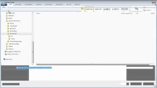 Word 2010 Schriftarten in Word Datei einbetten [upl. by Eeluj]