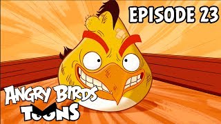 Angry Birds Toons  Gatecrasher  S1 Ep23 [upl. by Tanah]