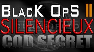 CoD Secret 07  Le Silencieux  Call of Duty Black Ops 2 [upl. by Herodias165]