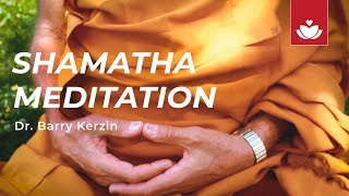 SHAMATHA SINGLEPOINTED MEDITATION with Dr Barry Kerzin [upl. by Linder]