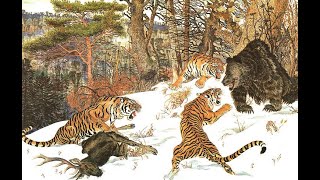 Ussuri brown bear vs Siberian tiger interaction analysis [upl. by Kristos158]