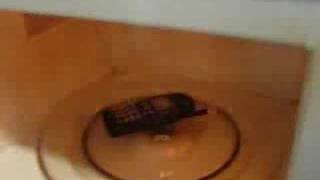 cell phone in a microwave [upl. by Meg]