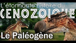 Le paléogène  Cénozoïque 1  Paléontologie  Simplex Paléo [upl. by Bubb455]