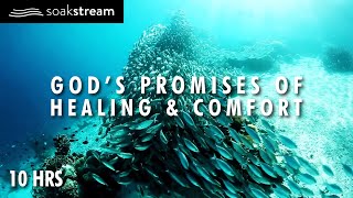 Gods Promises of Healing amp Comfort  10 Hour Scripture Soaking With Gods Word [upl. by Airol]