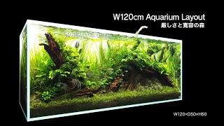 ADAview Forest of Harshness and Generosity 厳しさと寛容の森 W120cm Aquarium Layout【ENJP Sub】 [upl. by Ayotal]