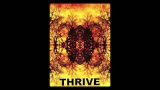 Blacktop Mojo  Thrive [upl. by Ayram]