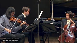 Lugansky  Capuçon  Kavakos  Brahms Piano Trio No 3 [upl. by Hnad]