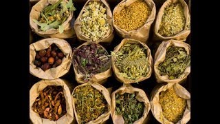 The Secrets Of Herbal Medicine  Best Documentary Of All Time [upl. by Inoliel]