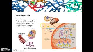 Cellers opbygning og funktion af celleorganeller [upl. by Goggin53]