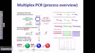 Multiplex PCR [upl. by Heddy]