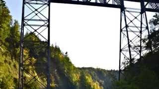 Erie Cattaraugus Rail Trail Video [upl. by Gnouhp]