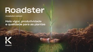 Roadster Ascophyllum nodosum Mais vigor produtividade e qualidade para as plantas [upl. by Palm732]