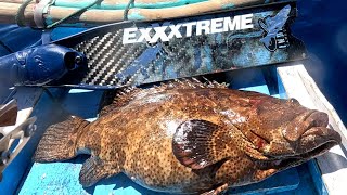 Thrilling Grouper Spearfishing Adventure in Indonesia [upl. by Akkim]