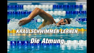 Kraulschwimmen lernen  die Atmung 2er oder 3er  SWIMAZING UNIVERSITY [upl. by Adur]