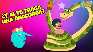 ¿Qué pasa si la anaconda te traga  Ciencias Cara Niños  Vídeo educativo  Vídeos De Animales [upl. by Sillsby]