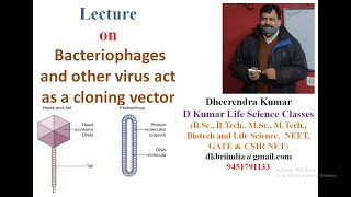 Bacteriophages and other virus act as a cloning vector by Dheerendra Kumar [upl. by Jacobba]