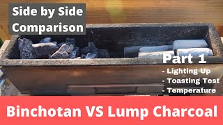 What Is The Best Charcoal For Yakitori  Binchotan vs Lump Side by Side comparison Part 1 [upl. by Coonan]