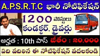 APSRTC లో 1200 కండక్టర్‌ డ్రైవర్ పోస్టులకు నోటిఫికేషన్ APSRTC Recruitment 2020 APSRTC Jobs [upl. by Cheyne]