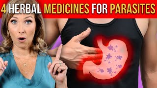 4 Best Herbal Medicines for Parasites  Dr Janine [upl. by Davies]