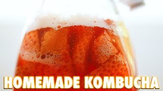 How To Make Kombucha At Home [upl. by Marley]