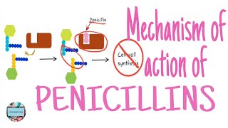 Mechanism of action of penicillins bacterial resistance against penicillins penicillin [upl. by Nomled]