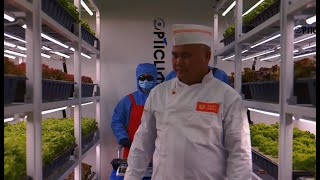 The Opticlimatefarm indoor farm defines the catering supply chain from an industrial perspective [upl. by Jemma]