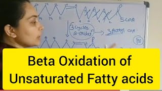 Beta oxidation of unsaturated Fatty Acids Monounsaturated fatty acid [upl. by Flem63]